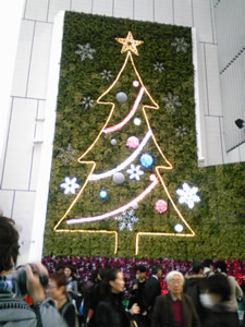GinzaYasaiSeminar_2009.12.jpg