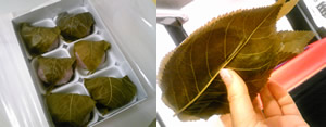 Sakuramochi_20100313.jpg