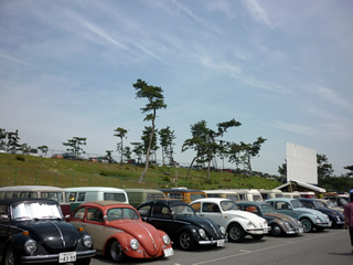 Volkswagen_type1_20100508.jpg