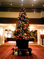 hukuoka-tree_20091203.jpg