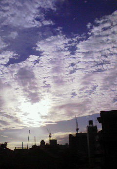 200810011615002.jpg
