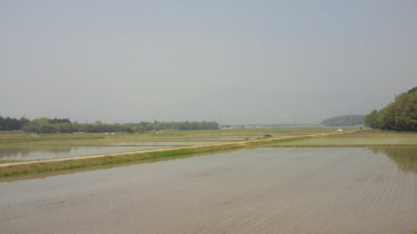 Suiden_2010.05.14.jpg.jpg