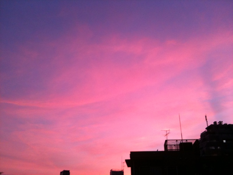 Yuuhi__2010.7.20.jpg